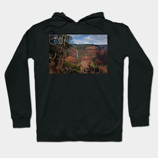 G17_0884 Hoodie